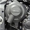 TRIUMPH Street Triple 675 2011 - 2012 KIT DE TAPAS PROTECCION Y ACCESORIOS