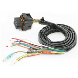CABLEADO PRINCIPAL PARA KOSO DB01R  BO018000