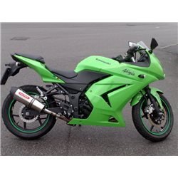 DUCATI 1199 SUPERLEGGERA 14' JUEGO ESTRIBERAS R-FIGHTER S