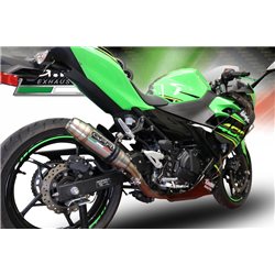 MV AGUSTA F3 675 12' - 18' JUEGO ESTRIBERAS R-FIGHTER S