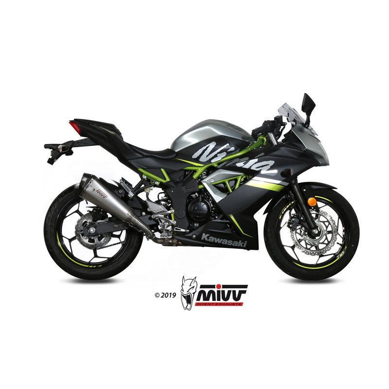 KAWASAKI NINJA 125 2019 - DELTA RACE INOX COPA CARBONO MIVV KAWASAKI NINJA 125 2019 - DELTA RACE INOX COPA CARBONO MIVV
