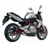 KAWASAKI ER-6N / F 2005 - 2011 X-CONE INOX/ST. STEEL MIVV