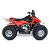 HONDA TRX 90 2006 - 2008 SILENCIOSO TRS TRI-OVAL