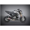 KAWASAKI Z 125 PRO 2017 - 2018 LÍNEA COMPLETA RACE SERIES RS-2 WORKS FINISH