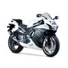 SUZUKI GSXR 600 2011 - 2018 ESCAPE COMPLETO TRC-D TRI OVAL CONE