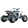 YAMAHA YZ 450 F 2009 - 2013 SILENCIOSO RS2 OVAL CÓNICO