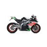 APRILIA RSV 4 RR / RF 2017 - 2018 SILENCIOSO RACE-TECH APPROVED DE TITANIO FONDO EN CARBONO