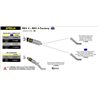 APRILIA RSV 4 2009 - 2015 SILENCIOSO RACE-TECH APPROVED DE ALUMINIO FONDO EN CARBONO