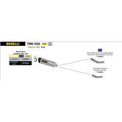 BENELLI TRK 502 2017 - 2020 SILENCIOSO RACE-TECH DE ALUMINIO FONDO EN CARBONO