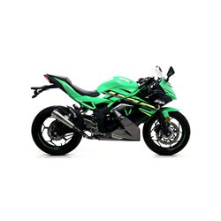 KAWASAKI NINJA 125 2019 - 2020 SILENCIOSO NICHROM PRO-RACE