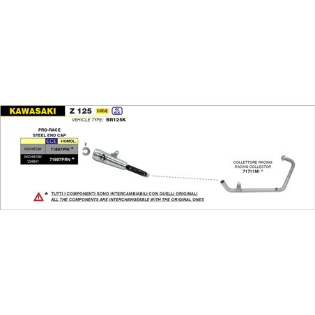 KAWASAKI Z 125 2019 - 2020 SILENCIOSO PRO-RACE NICHROM DARK""