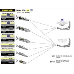 KAWASAKI NINJA 650 2017 - 2020 SILENCIOSO RACE-TECH DE ALUMINIO