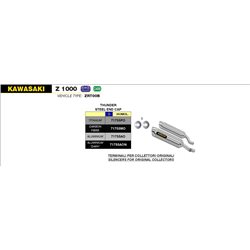 KAWASAKI Z 1000 2010 - 2013 SILENCIOSO THUNDER APPROVED DE CARBONO (DCHO+IZDO)