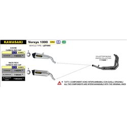 KAWASAKI VERSYS 1000 2019 - 2020 SILENCIOSO RACE-TECH DE ALUMINIO FONDO EN CARBONO