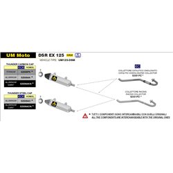 UM MOTO UM DSR EX 125 2018 - 2020 COLECTOR RACING