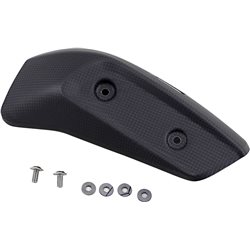 INDIAN FTR 1200 ABS RALLY 2020 - 2020 AKRAPOVIC