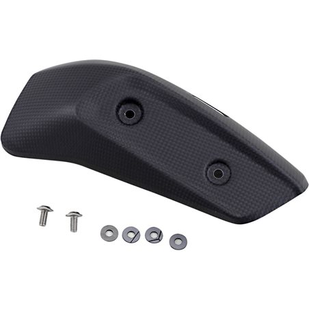 INDIAN FTR 1200 ABS RALLY 2020 - 2020 AKRAPOVIC