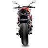 BMW S 1000 R / M 1000 R 2021 - 2024 LV CORSA TITANIUM