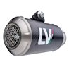 BMW S 1000 R / M 1000 R 2021 - 2024 LV-10 CARBON FIBER
