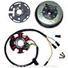 ALTERNADOR DERBI SENDA R DRD RACING EURO2 (SR1D2B) 50 (2005-2008)