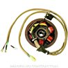 ALTERNADOR GILERA STALKER DD 50 (1999-2001)
