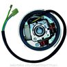 ALTERNADOR MALAGUTI CROSSER CR 50 (1995-1999)
