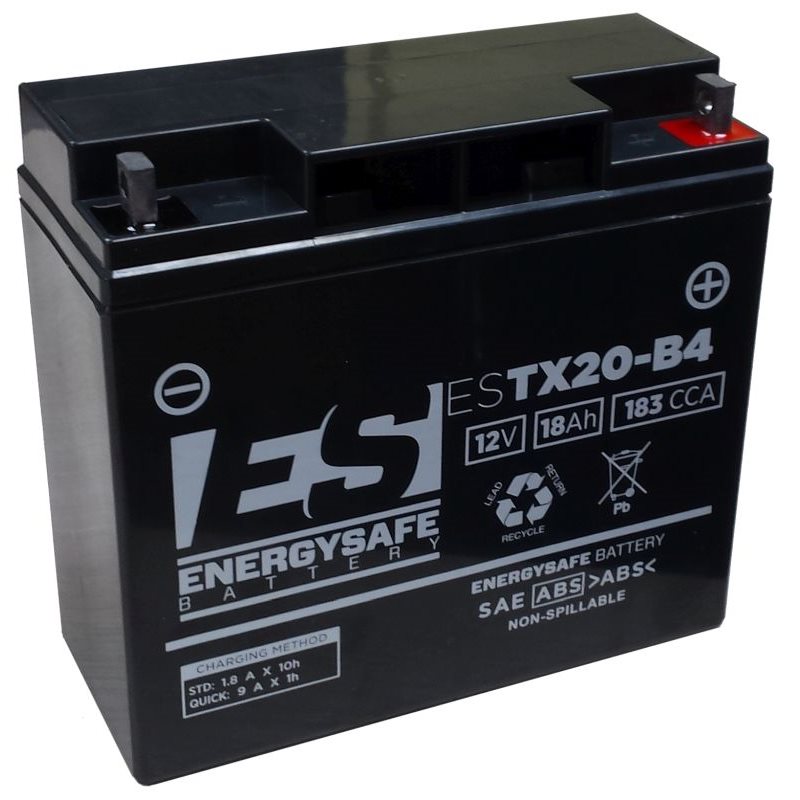 BATERIA ENERGYSAFE BMW R S 1100 1996 - 2006