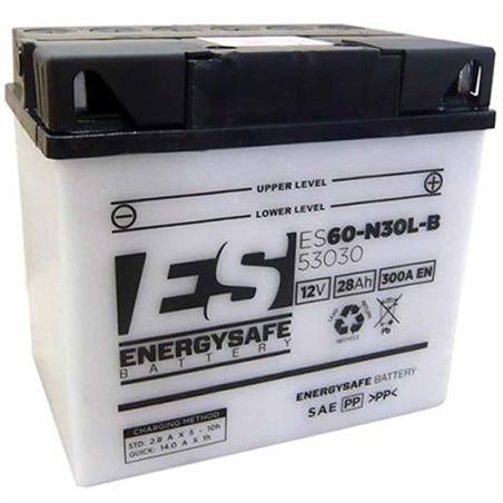 BATERIA ENERGYSAFE BMW R100 RS 1000 1984 - 1985