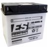 BATERIA ENERGYSAFE BMW R100 RS 1000 1984 - 1985