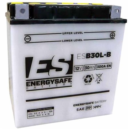 BATERIA ENERGYSAFE Harley Davidson Davidson FLHTCUI Electra Glide Ultra Classic F.I. 1340 1997 - 1998