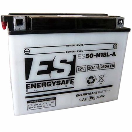 BATERIA ENERGYSAFE Harley Davidson Davidson FLTCUI Tour Glide Ultra Classic F.I. 1340 1996 - 1996