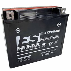 BATERIA ENERGYSAFE Harley Davidson Davidson XR 1000 1983 - 1985
