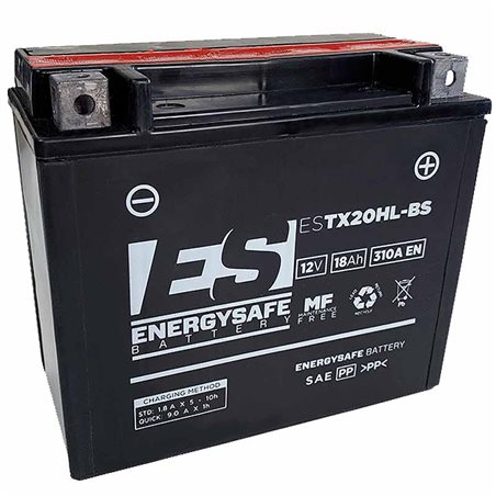BATERIA ENERGYSAFE Indian Roadmaster 111 CL 2015 - 2018
