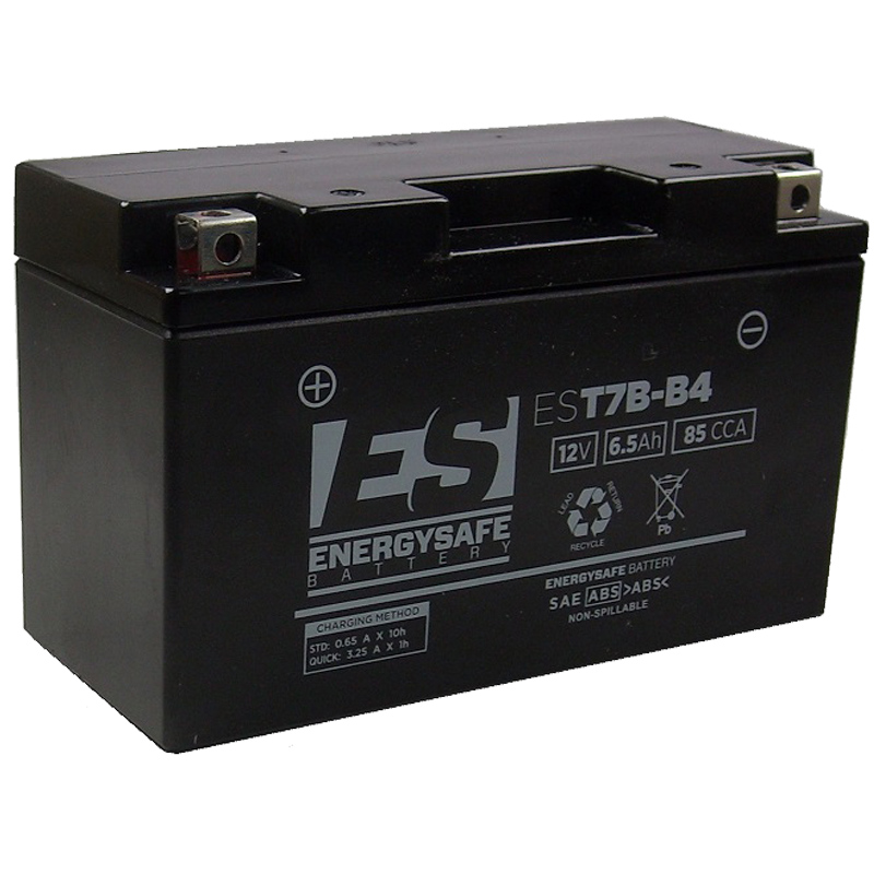 BATERIA ENERGYSAFE MBK Skyliner 250 2000 - 2003 BATERIA ENERGYSAFE MBK Skyliner 250 2000 - 2003