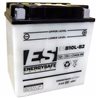 BATERIA ENERGYSAFE Suzuki GS E (2 Cil.) 500 1989 - 2000