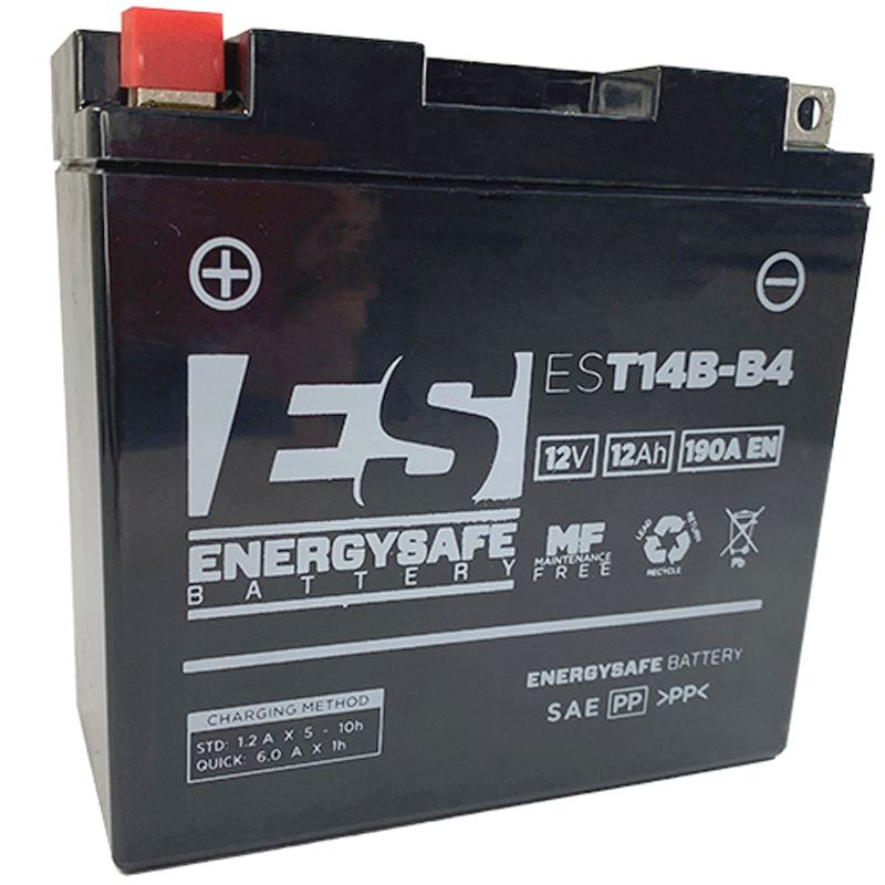 BATERIA ENERGYSAFE Yamaha XV PC Road Star Warrior 1700 2002 - 2005