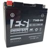 BATERIA ENERGYSAFE Yamaha XV PC Road Star Warrior 1700 2002 - 2005