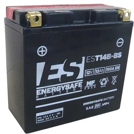 BATERIA ENERGYSAFE Yamaha XV Road Star 1700 2004 - 2008