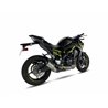 KAWASAKI Z 900 92 kW 20-21 (ZR900F) RC SLIP ON - RACE XTREM CARBON