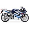 SUZUKI GSX 600 R 01-05 (BG) SOVE SLIP ON - HEXOVAL XTREM EVOLUTION