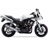 YAMAHA FZS 600 FAZER 98-03 (RJ02) SOVE SLIP ON - HEXOVAL XTREM EVOLUTION