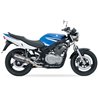 SUZUKI GS 500 F 04-10 (WVBK) SOVE SLIP ON - HEXOVAL XTREM EVOLUTION