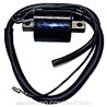 YAMAHA NS AEROX NAKED 50 (2013-2016) BOBINA ALTA TENSION
