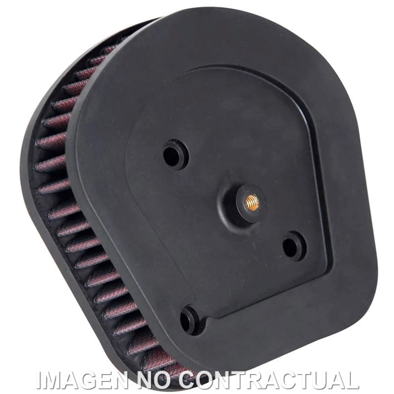 HARLEY DAVIDSON FLSL SOFTAIL SLIM 1745 (2018-2019) FILTRO DE AIRE K&N