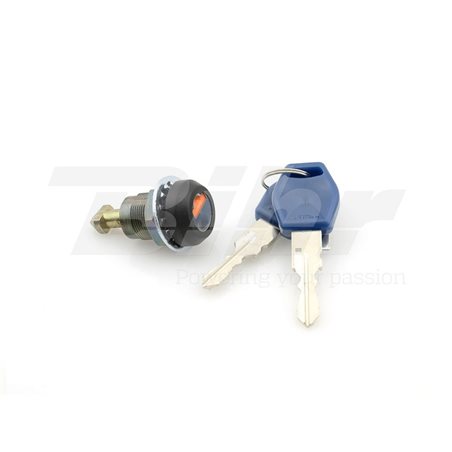 PIAGGIO CARNABY 250 08' BATERIA BS (SLA/GEL)