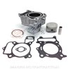 HONDA NSS FORZA 300 (2013-2017) CILINDRO COMPLETO