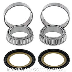 RODAMIENTOS DE DIRECCIÓN APRILIA RSV4 FACTORY EURO5 1100 (2021-2021)