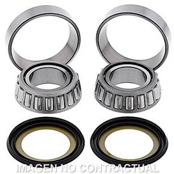 RODAMIENTOS DE DIRECCIÓN APRILIA SHIVER GT 750 (2009-2009)