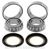 RODAMIENTOS DE DIRECCIÓN APRILIA SHIVER GT 750 (2009-2009)
