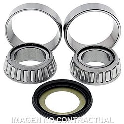 RODAMIENTOS DE DIRECCIÓN GAS GAS HALLEY SM 450 (2009-2010)